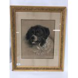 C19TH. CHALK AND PASTEL DRAWING OF A ST. BERNARD DOG 30 X 37CM.