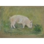 Anna Fraser (20th century British) 'Pig with Bluebells' pastels, signed and dated 97 21 x 28.5 cm
