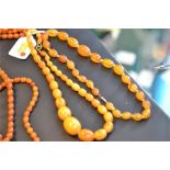 A graduated amber bead necklace, thirty two beads, largest 23cm, L21cm - approx weight 30.1g,