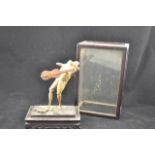 A Victorian novelty frog taxidermy composition - standing frog playing guitar, on hardwood plinth,