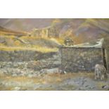 Pat Cleary (XX) - sheep in mountain landscape (possibly Lake District) with derelict building -