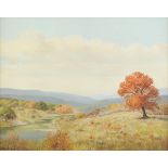 R. MOSELEY (American/Texas 20th Century) A PAINTING, "Hills and Streams," oil on canvas, signed L/L.