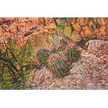 MICHAEL MARVINS (American/Texas 20th Century) A PHOTOGRAPH, "Cactus," 19 3/4" x 29 3/4" NOTE: The