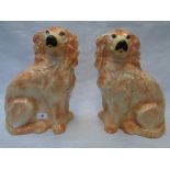 Pair of 19thC Staffordshire Dogs of Beige long Hair with inset glass eyes, unmarked 32 x 22cm