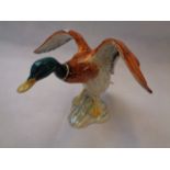 Beswick Mallard with outstretched wings marked 750 to base, Height 15.5cm, Condition - Repair to