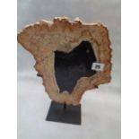 Petrified Wood Specimen mounted on metal stand, Condition - Good Overall