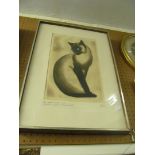 Ossi - limited edition print of a cat 49/200