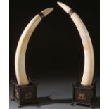 AN IMPRESSIVE PAIR OF OLD SPORT TROPHY ELEPHANT IVORY TUSKS, CIRCA 1915.  The matched pair