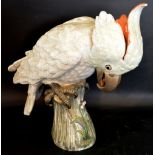 A 19th Century Meissen Porcelain Model in the form of an Exotic Bird upon a Tree Stump, 35 cms tall,
