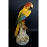 A Late 19th Early 20th Century Meissen Porcelain Large Model of an Exotic Bird upon a Tree Stump,