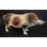 A 20th Century German Porcelain Model in the form of a Boar,