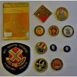 American Gulf War challenge coins (10) including: 29th Signal Battalion, Army National Guard,