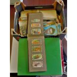 Cigarette Cards-Mixed Lot Including cigarette cards, Postcards,Flower Album of Jaffa etc,family