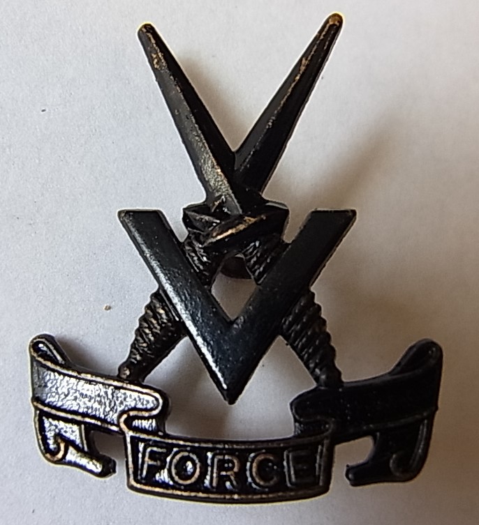 Burma 'V' force WWII British Special Forces Cap badge (Blackened-bronze, lugs) K&K: 2072