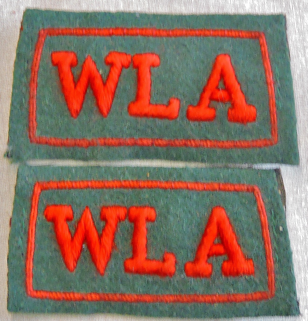 British Pattern WWII "Women's Land Army" WLA slip on epaulette titles.