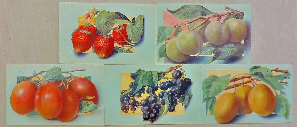 Fruit - Chivers 5 of 6, Studies of English Fruits - series 1 (5)