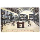 Sussex/Birds - Colour postcard "The Booth Museum of British Birds" Dyke Road, Brighton, Childs image