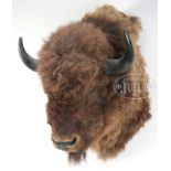 LARGE BISON HEAD MOUNT. The brown hairy head in multiple shades of brown with glass eyes and large