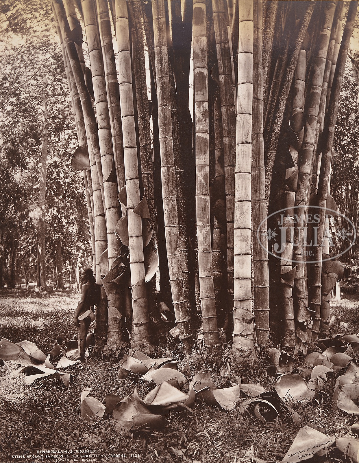 EXTRAORDINARY & MASSIVE LIFE LONG COLLECTION OF RARE ASIAN PHOTOGRAPHS AMASSED BY DR. HELGA WALL- - Image 30 of 222