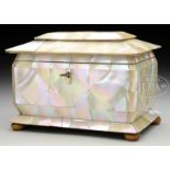 ANTIQUE MOTHER-OF-PEARL DECORATED TEA CADDY.