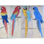 BIRD STUDIES, 4 unframed water colour studies "Macaws", 17.5" x 6"