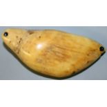 A POLYNESIAN FIJIAN WHALES TOOTH "TABUA" worn as a chiefs breast pendant, each end with drilled