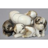 A GOOD QUALITY EARLY 20TH CENTURY JAPANESE CARVED IVORY NETSUKE OF A GROUP OF PUPS, their fur
