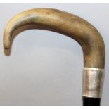 A 19TH CENTURY RHINOCEROS HORN HANDLED WOOD WALKING STICK, with a hallmarked silver collar inscribed