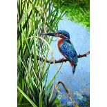 Basil W... Wright (fl.1960-1980) British. 'Study of a Kingfisher in Landscape', Watercolour, Signed,