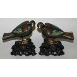 A GOOD MIRROR PAIR OF CHINESE QIANLONG/JIAQING PERIOD CLOISONNE HAWK CENSERS, together with good