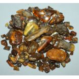 A COLLECTION OF ASSORTED NATURAL AMBER, various sizes and shapes.