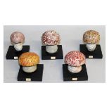 FIVE VARIOUS PAINTED WOODEN TOADSTOOLS.