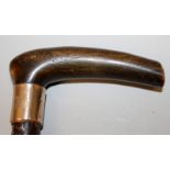 A GOOD QUALITY RHINOCEROS HORN HANDLED GNARLED WOOD WALKING STICK, with a gilt-metal collar, the