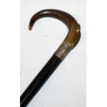A RHINOCEROS HORN HANDLED WOOD WALKING STICK, with a hallmarked silver collar, the horn of