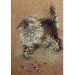 Circle of Ada Elizabeth Tucker (19th - 20th Century) British. Study of a Kitten with a Leaf,