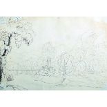 19th Century English School. Tree Studies, Ink, 10" x 14.25".