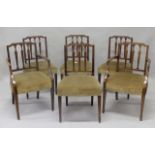 A SET OF SIX 19TH CENTURY MAHOGANY DINING CHAIRS, in Hepplewhite style, two with arms, shaped top