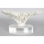 A LARGE PIECE OF WHITE CORAL. 13ins wide, on a glass base.