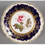 A PLATE with rich blue and gilt border, the centre painted with a red rose. 8.5ins diameter. Col No.