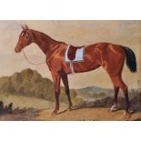 19th Century English School. A Saddled Horse in a Landscape, Watercolour, Unframed, 14.75" x 20.25",