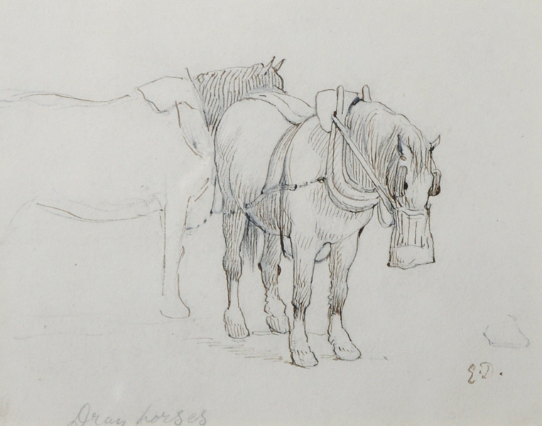 Edward Duncan (1803-1882) British. "Dray Horses", Ink and Pencil, Signed with Initials and