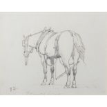 Edward Duncan (1803-1882) British. "Farmers Horse", Ink and Pencil, Signed with Initials and