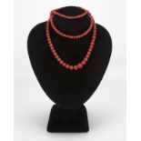 A single strand coral bead necklace