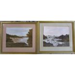 Pair of landscape acrylic paintings by M