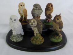 Royal Doulton set of 6 miniature owls wi