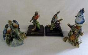 4 Capodimonte birds inc Red eyed vireo a