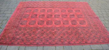 Red Afghan carpet with a bokhara design