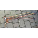 Various walking sticks