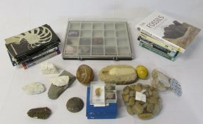 Various fossils, books, gem stones, rock