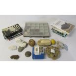 Various fossils, books, gem stones, rock